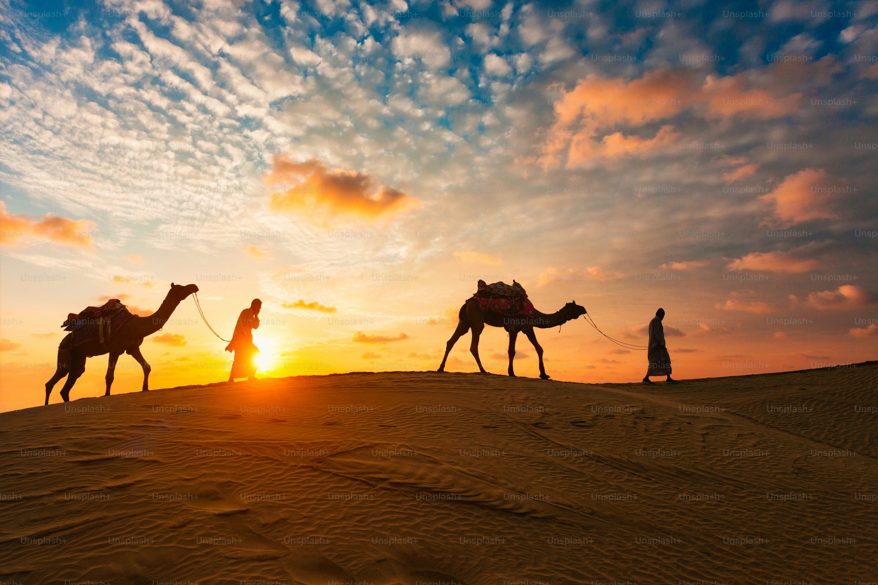 Dubai Desert Safari