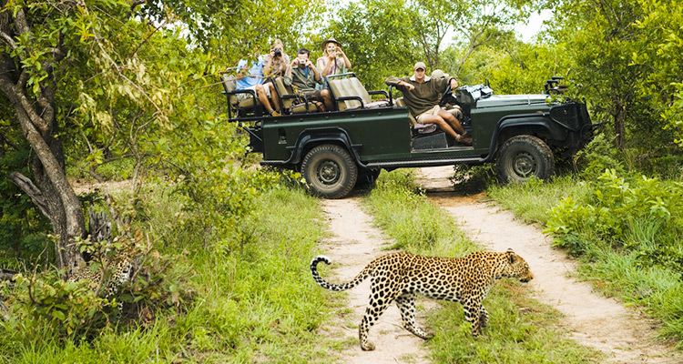 Sri Lanka Wildlife